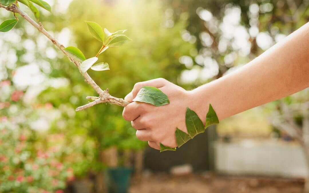 Quand communication rime avec environnement !